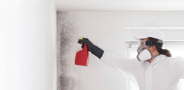 Best Water Damage Restoration  in Woods Hole, MA